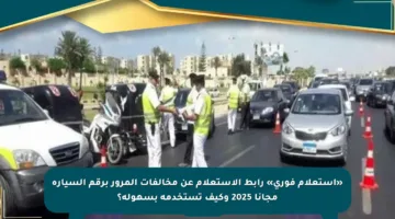 «استعلام فوري» رابط الاستعلام عن مخالفات المرور برقم السيارة مجانا 2025 وكيف تستخدمه بسهولة؟